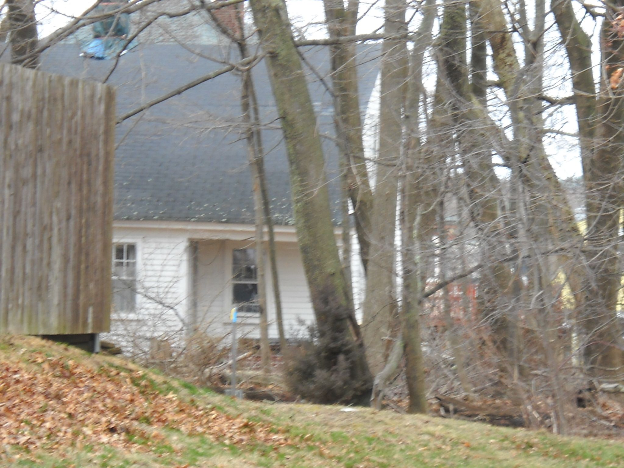 Fairview ave VII