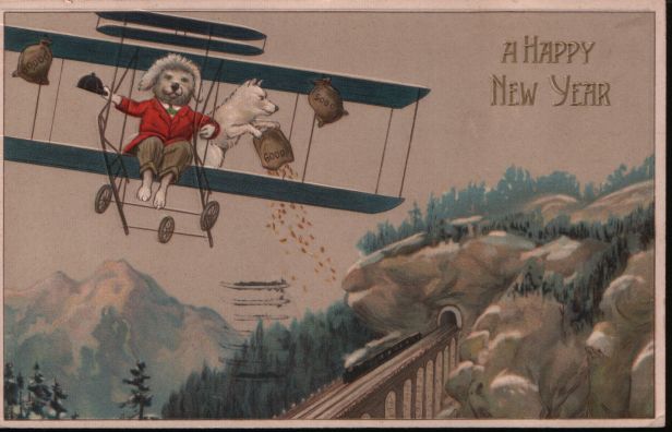 New Year biplane